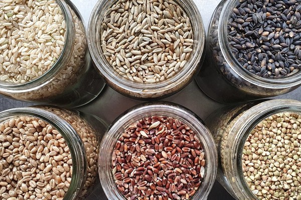 Photo the people s bread co